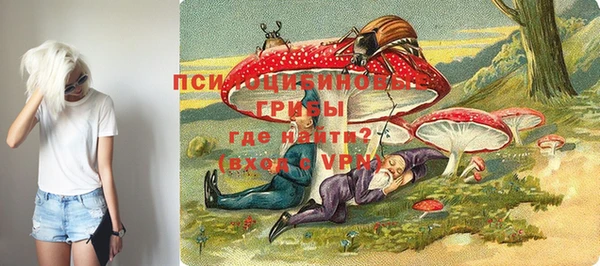 бошки Вязьма