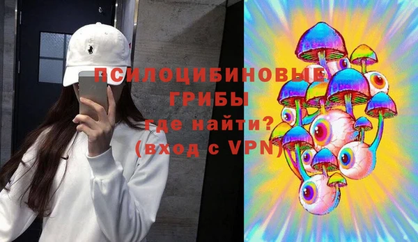 молекула духа Вязники
